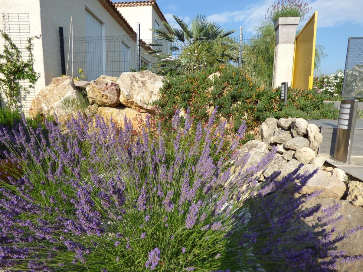La Villa Du Saule Salles-dʼAude Exteriér fotografie